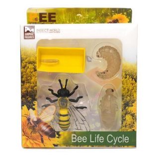 Obrázek z Figurky Včela vývojový cyklus 6cm, set 4 ks v krabičce 